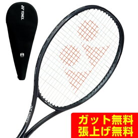ヨネックス 硬式テニスラケット レグナ 100 02RGN100-243 YONEX
