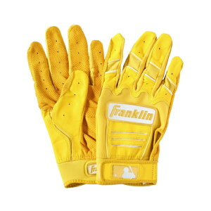 ySiΏۍő10OFFN[| 2025/11/30 0:00`12/11 1:59ztN FRANKLIN 싅 obeBOO[u p CFX PRO HI LITE 20895