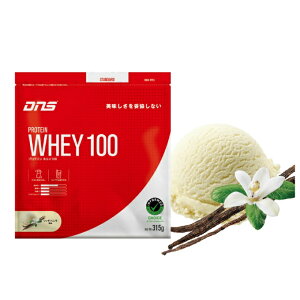 fB[GkGX(DNS) veC veCzGC100 b`oj 315g D23001110204