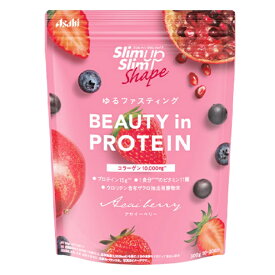 【全品対象最大10％OFFクーポン 2025/11/30 0:00〜12/11 1:59】プロテイン BEAUTY in PROTEIN アサイーベリー 50484