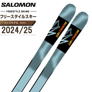 サロモン フリースタイル スキー板の人気商品・通販・価格比較 - 価格.com