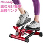 健康ステッパー ナイスデイ NICE-WS3 ショップジャパン SHOPJAPAN 健康器具 フィットネスマシン トレーニング エクササイズ 健康器具 運動器具 足腰 足踏み 室内運動 筋トレ