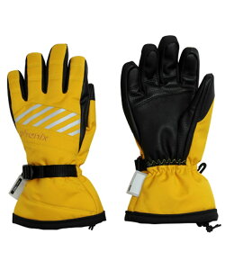 tFjbNX Phenix XL[ Xm[{[h O[u WjA GLOVE ESB23GL83