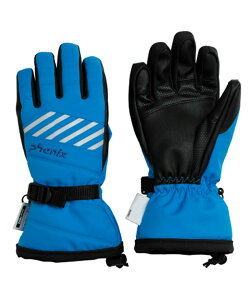 tFjbNX Phenix XL[ Xm[{[h O[u WjA GLOVE ESB23GL83