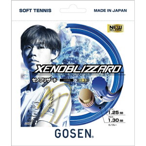 S[Z GOSEN \tgejXKbg XENOBLIZZARD [muU[h SSXB11XB