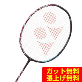 ヨネックス バドミントンラケット アストロクス100ツアー AX100T-821 YONEX