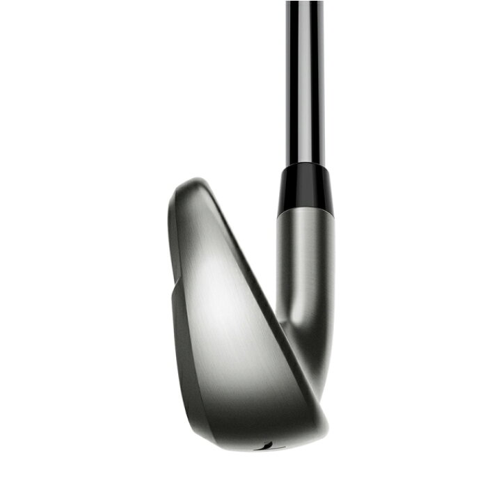 楽天市場】コブラ cobra アイアンセット 5本組 メンズ ダークスピード  