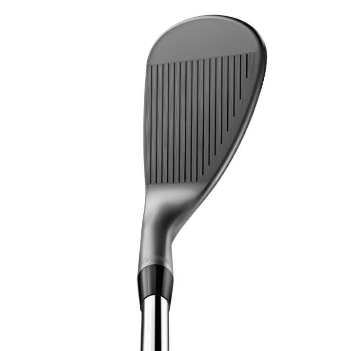 楽天市場】タイトリスト Titleist ウェッジ メンズ ボーケイ SM10 