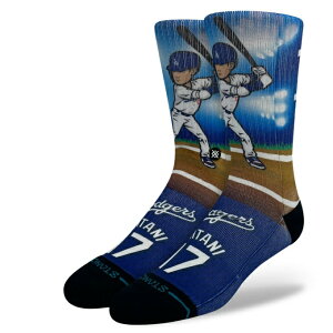 �X�^���X �\�b�N�X STANCE SOCKS �싅 �\�b�N�X �����Y ���f�B�[�X SHO TIME 2 A556A24SH2#BLU