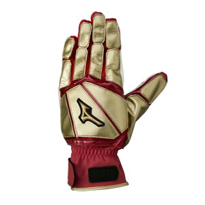 ~Ym ۗp ~Ymv 1EJET13062 MIZUNO