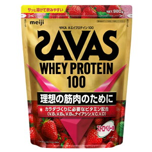 UoX SAVAS veC zGCveC100 Xgx[ 980g 2633079