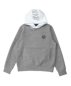 アーノルドパーマー ゴルフウェア スウェット メンズ バイカラースウェットフーディー AP220205C05　arnold palmer