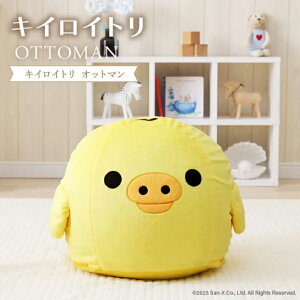 Z^ CELLUTANE Ibg} LCCg A1446Ay[J[zyzzd