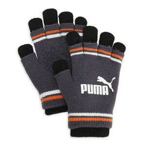 v[} h Y fB[X WjA c[C[h }WbN GV 041801-09 PUMA
