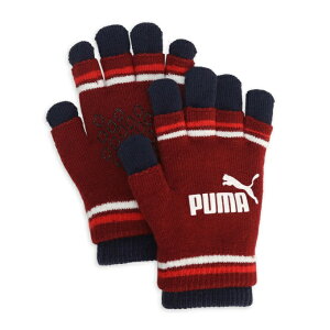v[} h Y fB[X WjA c[C[h }WbN GV 041801-10 PUMA