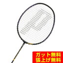 【6月11日1:59まで！全品最大10％OFF】プリンス PRINCE バドミントンラケット D-TX AXIS ダイワシャフト 7BJ082