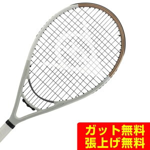 ySiΏۍő10OFFN[|! 9/25 23:59܂Łz_bv dejXPbg LX1000 DS22408