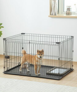 ACXI[} IRIS OHYAMA  L P[W Q[W T[N ybgT[N ꂪȒP ybgP[W VXeT[Ng[t STS-1200T yzz d