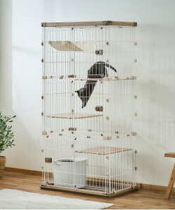 ACXI[} IRIS OHYAMA P[W EbfBLbgP[W3i PWCR-963Vyzz d