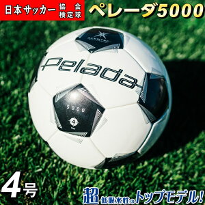 yŐVfze TbJ[{[ 4 苅 y[_5000 AZeBbN F4K5000 molten gbvf \ z\ w Nu