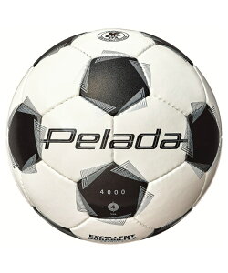 yŐVfze TbJ[{[ 4 苅 WjA y[_4000 D F4K4000 molten X^_[hf z\ ϖ w Nu