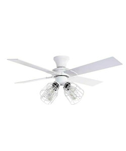 W@Gt JAVALOELF Ɩ V[Ot@ V[OCg 6`8p 4H 4 Rt Modern Collection tBgLEDt JE-CF003 yzzd