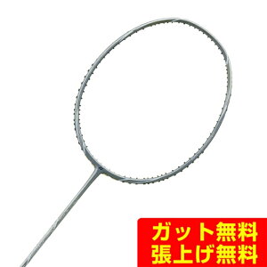 lbNX oh~gPbg AXgNXlNXe[W AXNT-148 YONEX