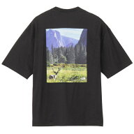 ザ・ノース・フェイス Tシャツ 半袖 メンズ レディース SS YOSEMITE SNY T NT32436-K2 ノースフェイス TH…