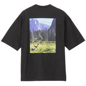 �U�E�m�[�X�E�t�F�C�X T�V���c ���� �����Y ���f�B�[�X SS YOSEMITE SNY T NT32436-K2 �m�[�X�t�F�C�X THE NORTH FACE
