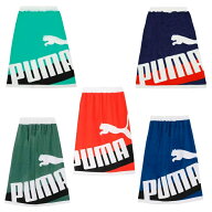 プーマ(PUMA) ラップタオル ラップ タオル L N2 054877