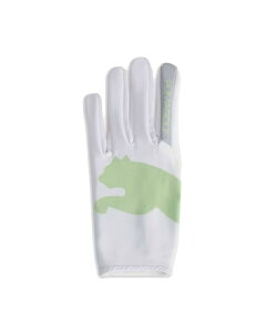 v[} St pO[u Y t[OtBbNO[u 042109 PUMA