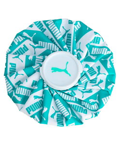 �v�[�} �A�C�V���O NO1 ���S AOP �A�C�X �o�b�O 054862 PUMA