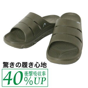 wbh(HEAD) V[T_ Y ANeBuV[T_ 2HDM00151-KK yKiz