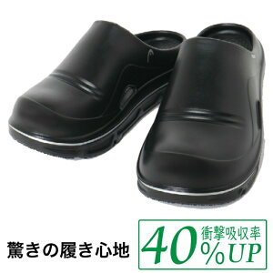 wbh(HEAD) T_ Y ANeBuNbOT_ 2HEM00247-BK yKiz