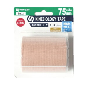 rWNGXg(VISION QUEST) e[sO Lk LlVIW[e[v75MM VQ580201B11