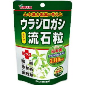 �R�{�������� �T�v�������g �E���W���K�V���Η� 240�� ALF0001 �M�t�g �v���[���g ��������y������z������z�d