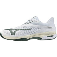 ミズノ MIZUNO テニスシューズ オムニ クレー メンズ レディース ウエーブエクシード6 SW OC 61GB251435
