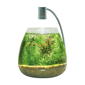 WFbNX GEX Mыpi MGtGANA eBAZbg GEX3887 yԕiszyzzd