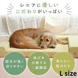 【6月10日限定！条件達成で最大6000ポイント還元！】アイドッグアイキャット IDOG＆ICAT ペット用品 アンエイジ 体圧分散シニアローベッド RMC-BD247 【返品不可】【ご自宅配送限定】‥