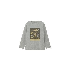 UEm[XEtFCX(THE NORTH FACE) TVc  WjA OX[uVgRgReB[ LbY DF O[ i IV NTJ82530ST-Z m[XtFCXyKiz