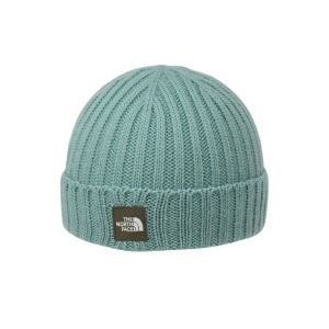 UEm[XEtFCX(THE NORTH FACE) jbgX WjA xr[Jvb`bh NNB42401-BE m[XtFCXyKiz