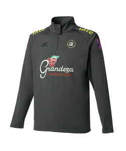 FINTA TbJ[EFA sXegbv Y GDZ g[jOgbv FT4509