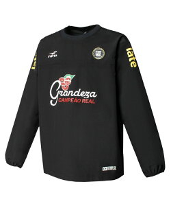 FINTA TbJ[EFA sXegbv Y GDZ sXegbv FT4513