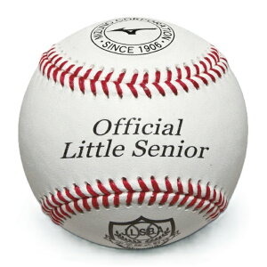 ~Ym(MIZUNO) 싅 d{[  dp {gVjAwd싅 1 1BJBL60200