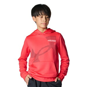 A_[A[}[ XEFbgg[i[ WjA UA TECH TERRY SUPER BIG LOGO HOODIE 6007817-989 UNDER ARMOUR