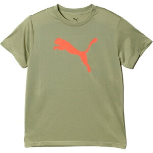 v[}(PUMA) TVc  WjA TAD ESS Lbg @\ 527188-82