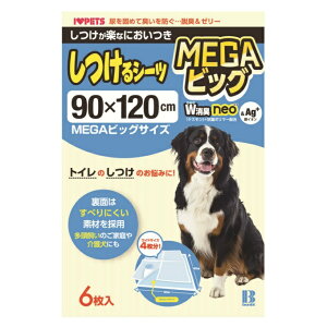 ySiΏۍő10OFFN[|! 9/25 23:59܂Łz{rAR bonbi V[c V[cWLneo MEGArbO 6 BA6732 yzzd