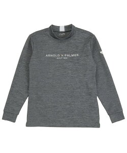 A[mhp[}[ StEFA Vc Y 蒷bNlbNSH AP220202E02 y2025NH~fz