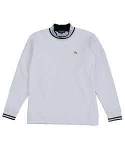 A[mhp[}[ StEFA Vc Y btbNlbNSH AP220202E06 y2025NH~fz