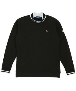 A[mhp[}[ StEFA Vc Y btbNlbNSH AP220202E06 y2025NH~fz